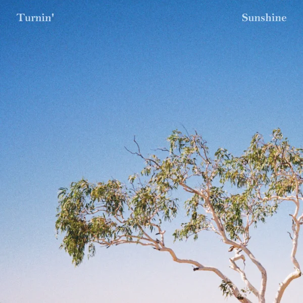 TURNIN' SUNSHINE