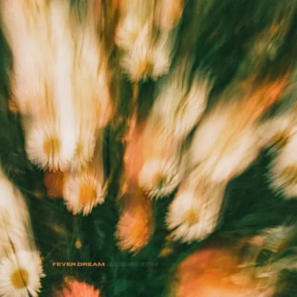 FEVER DREAM