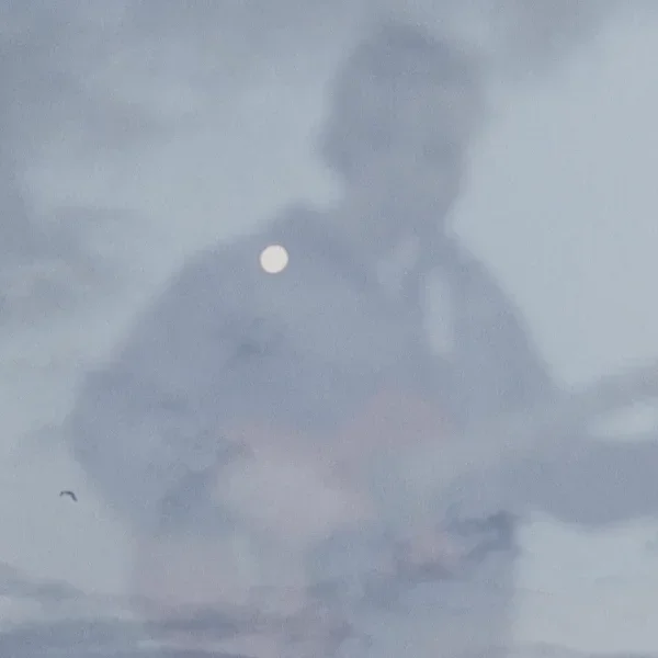 DAY MOON