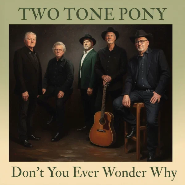 DON'T YOU EVER WONDER WHY